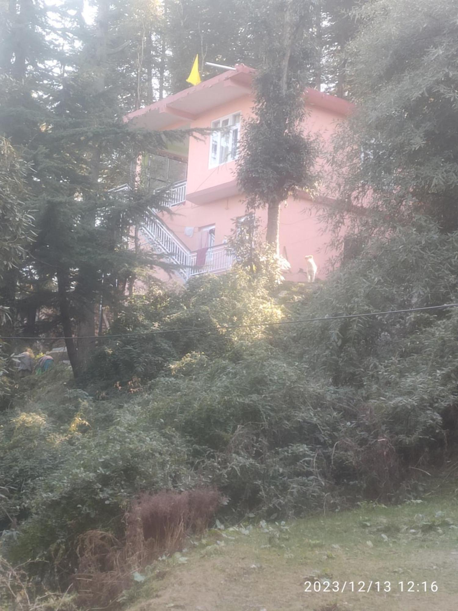 Tree Valley Homestay Chail Exterior photo