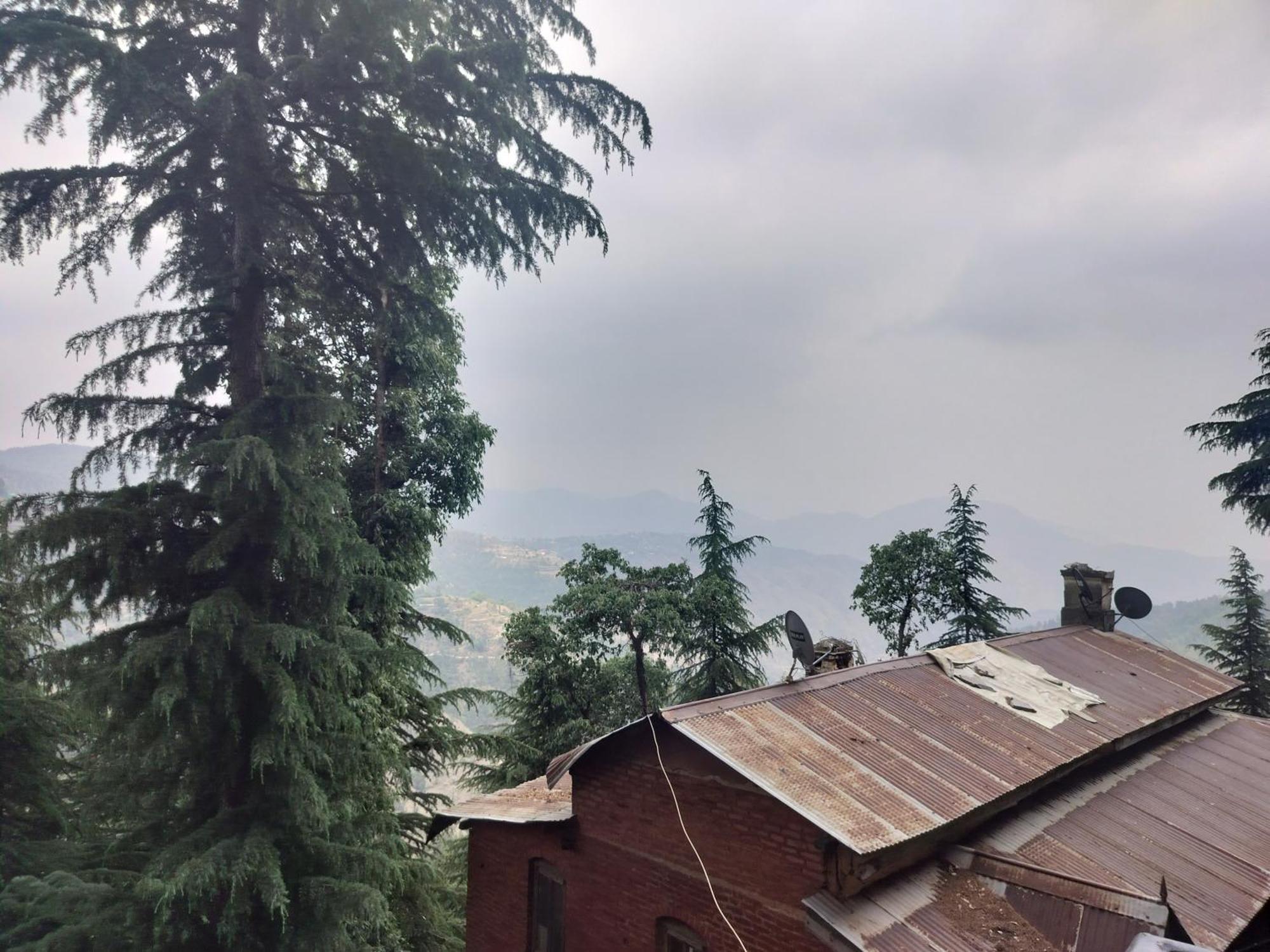Tree Valley Homestay Chail Exterior photo